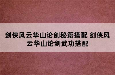 剑侠风云华山论剑秘籍搭配 剑侠风云华山论剑武功搭配